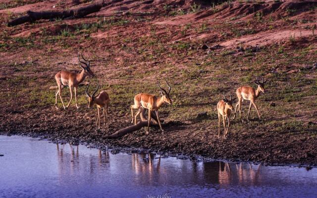 MILIMA Big 5 Safari Lodge
