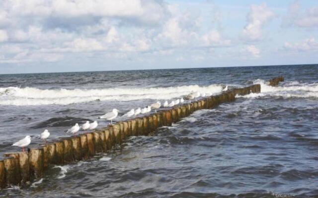 Schifferhaus "Kapitänskabine" FW 5