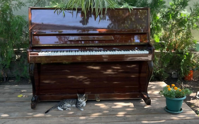 Yerevan Modern Holiday Apartment