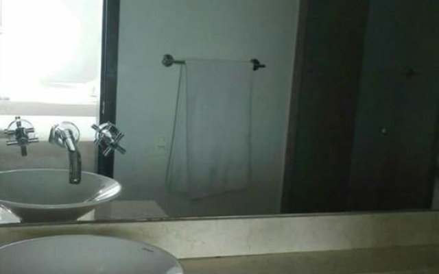 Palmetto Eliptic 1501