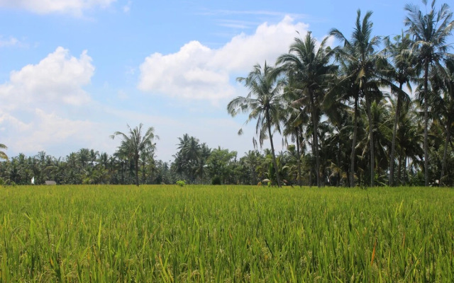 Villa Hening