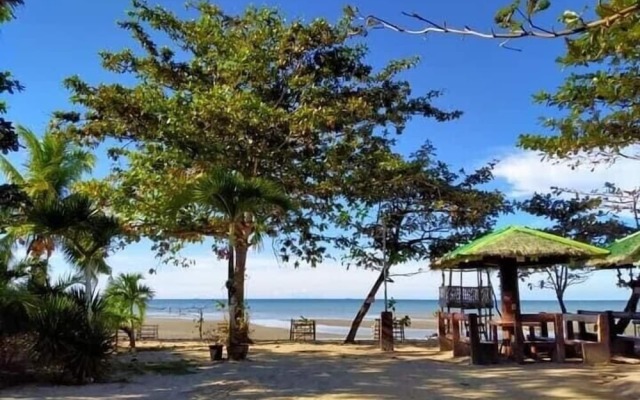 Palm Garden Resort