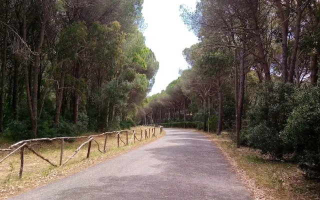 Green House - Woods And Beaches - Sardinia
