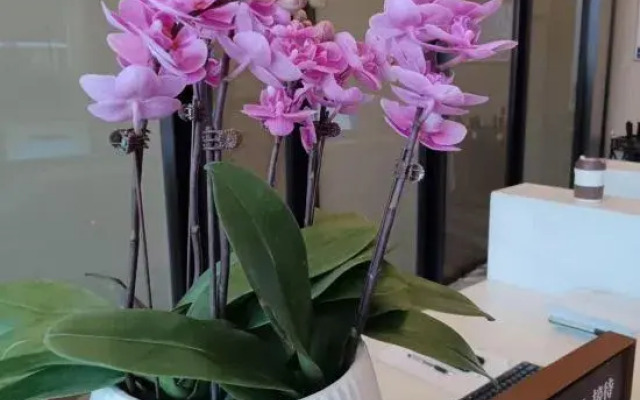 Yunlu Hotel (Southwest International Trade City, Guanshanhu District, Guiyang)