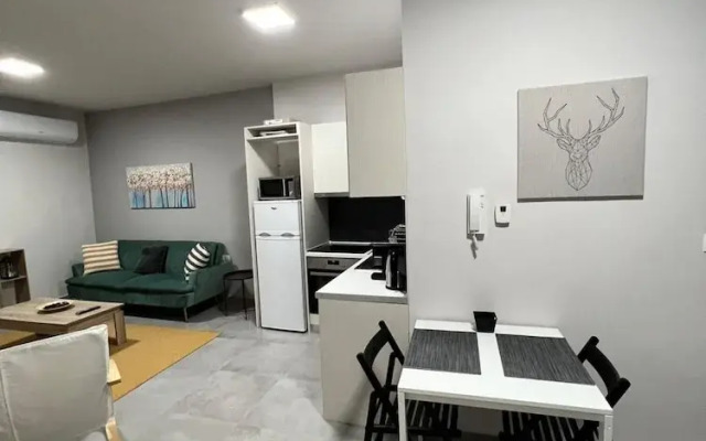 Othonos 10 str Apartment