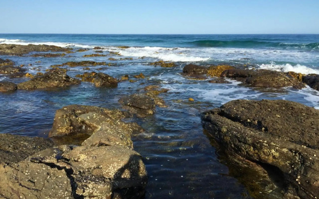 Ocean View with Views Galore