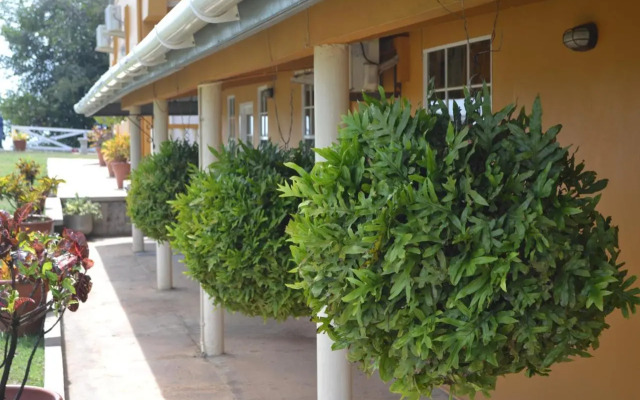 Reef View Apartments