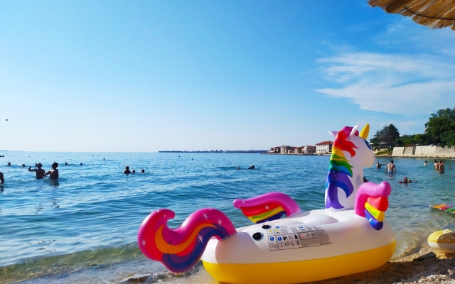 Room Aleksandra - 10 m from sea: R7 Bibinje, Zadar riviera