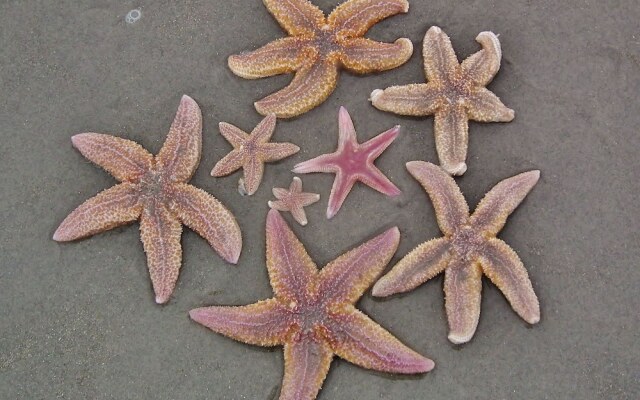 Sunlit Villa with Sauna in Nes