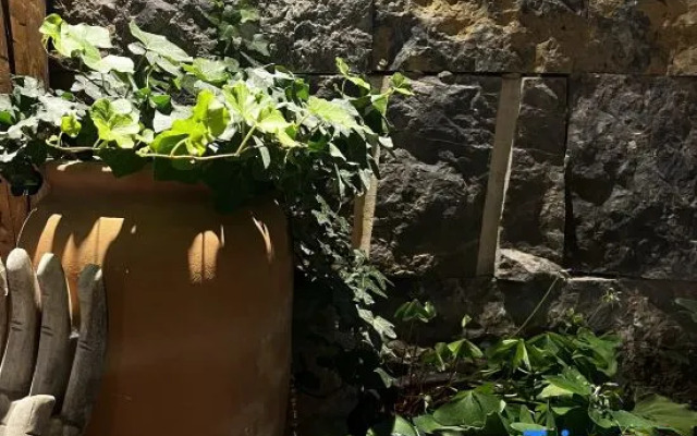 Lijiang Banduo Youlian Inn