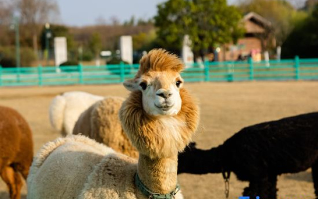 No.1 Farm Mingdu Manor Hotel – Outside – Changzhou