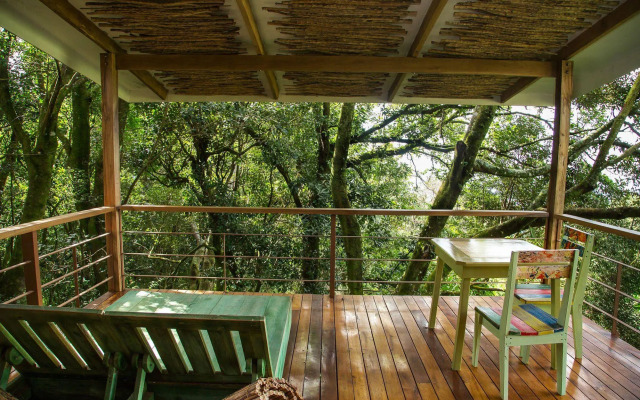 Chayote Lodge