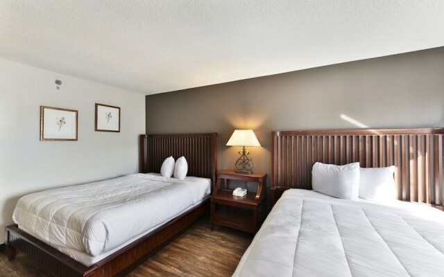 Baymont Inn and Suites by Wyndham Columbus / Near OSU