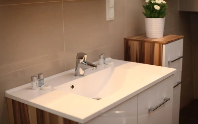 Apartment Mandlgasse