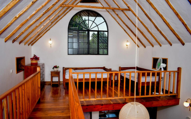 Buyala Bliss on the Nile