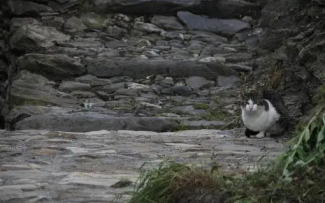 Bed & Breakfast Triora Medievale