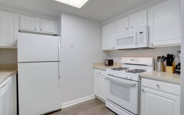 Spacious 2BR Condo at Ballston