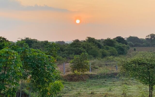 thihawa eco huts yala