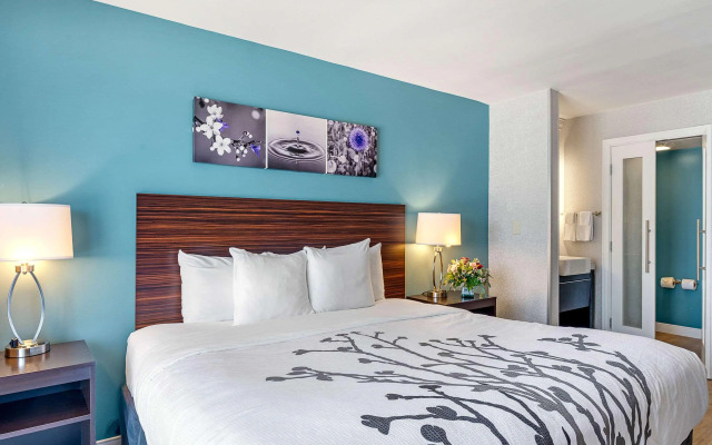 Sleep Inn On The Beach