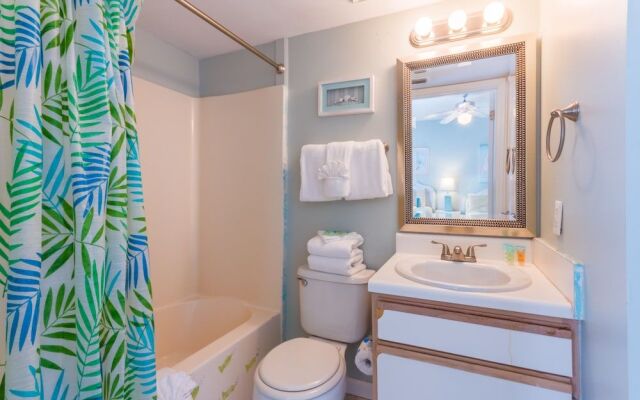 Tropical Winds by Hosteeva