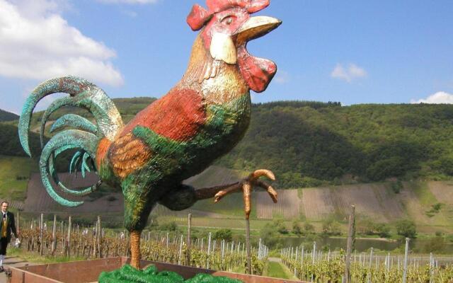 Ferienweingut Rainer Hirschen