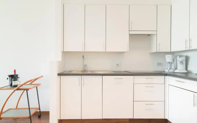 South Facing Apartment With Terrace