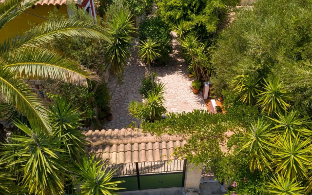 Garden of Eden Zante