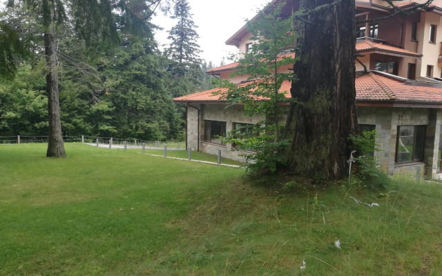 Luxury Apartament in "Sequoia" 2