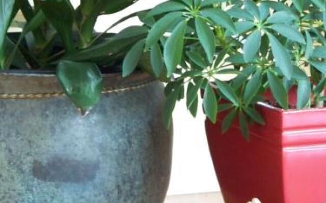 Moon Gate Guest House