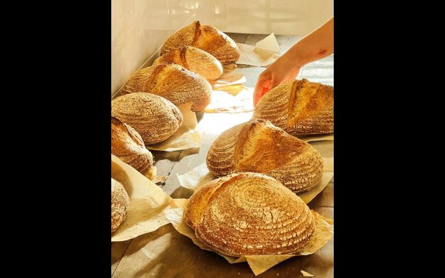 Rascals Boutique Kuta Lombok