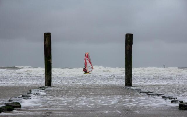 Boszicht 6 aan de Kust