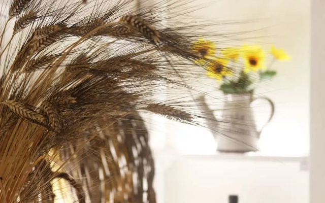 Trullo Madia e Dimora Giorgio