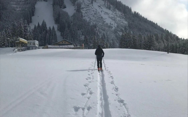 Pony-Ziegen-Hasen-Ranch Bichlbach