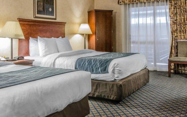 Comfort Inn & Suites