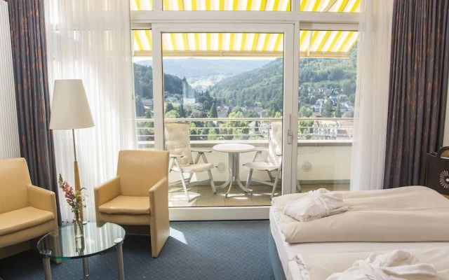 Schwarzwald Panorama