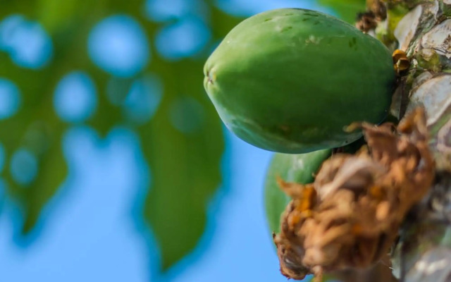 Casas Pinar del Eden Norte