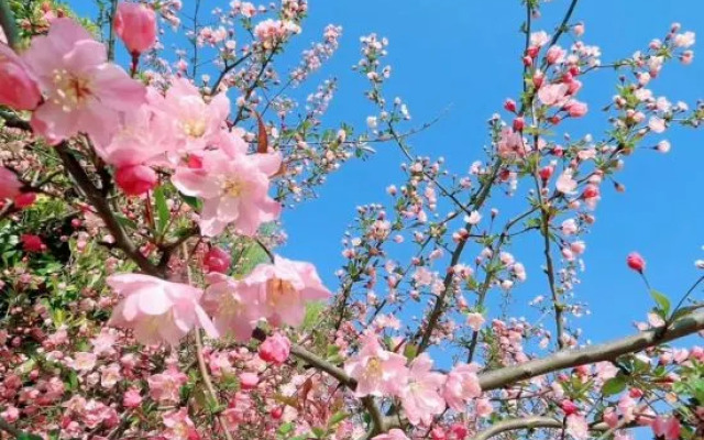 Shanghai Tingxin Zhushe Homestay