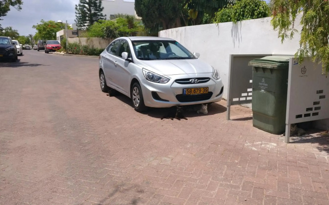 Primrose Boutique Apartment