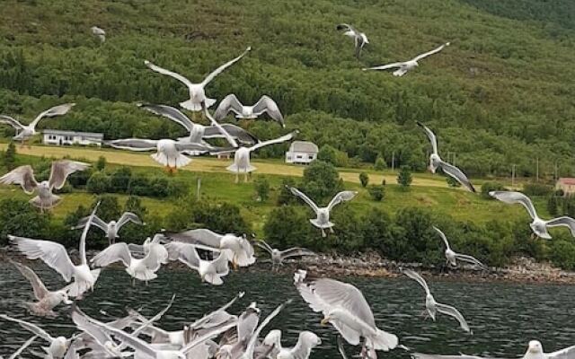 Fiskesenter Birkeland