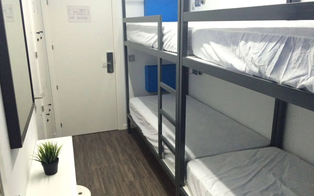 Chameleon Hostel