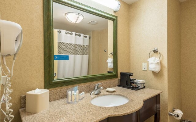 Hampton Inn  Suites Orlando-South Lake Buena Vista