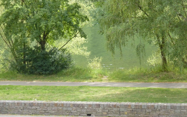 Ferienwohnung Moselblick