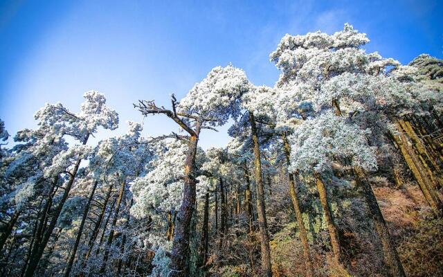 Lushan Yilu Guest House Tingtao