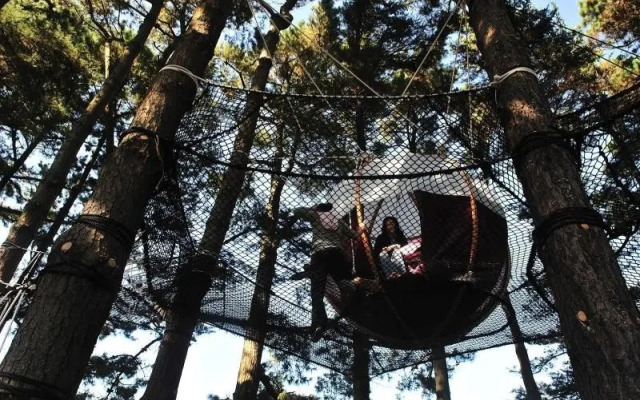 Les Nids du Parcabout