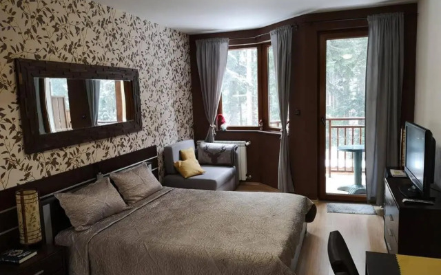 Studio Iceberg Borovets Студио с кухня