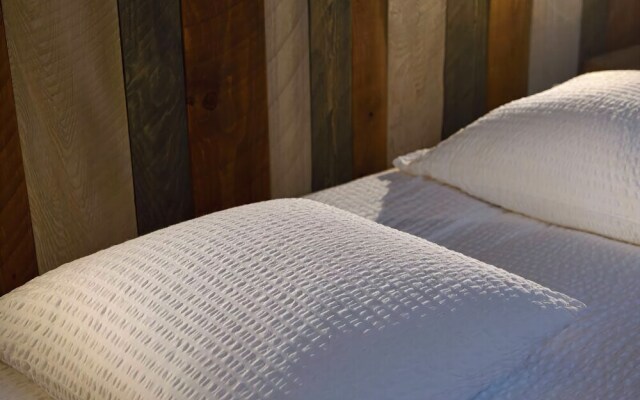 Mas Trinita Gîte équestre en Camargue