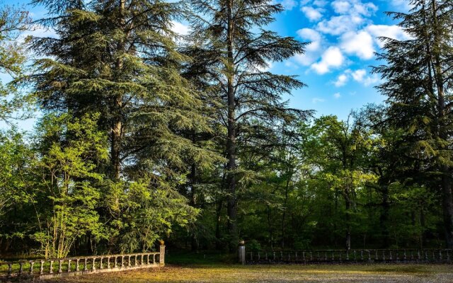 Chateau du Bas Boulay - Appartements