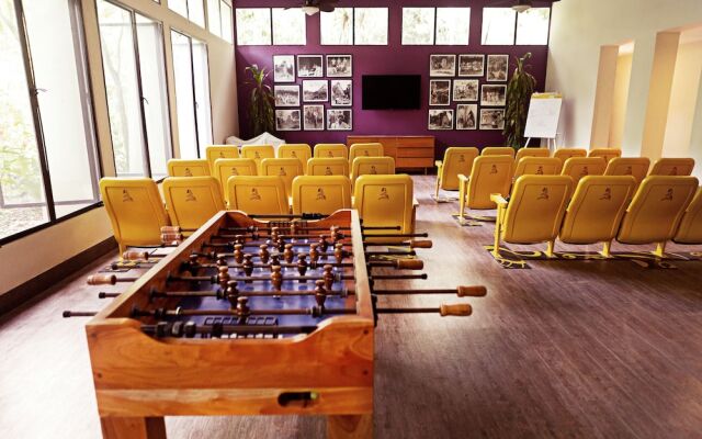 Jungle Lodge Hotel