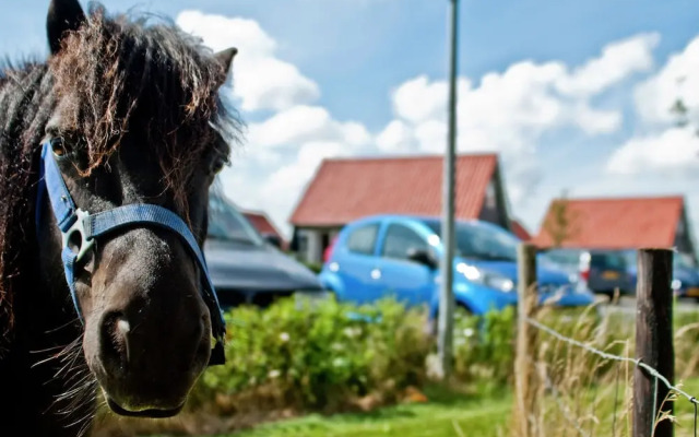 Atmospheric Holiday Home Near the Oosterschelde