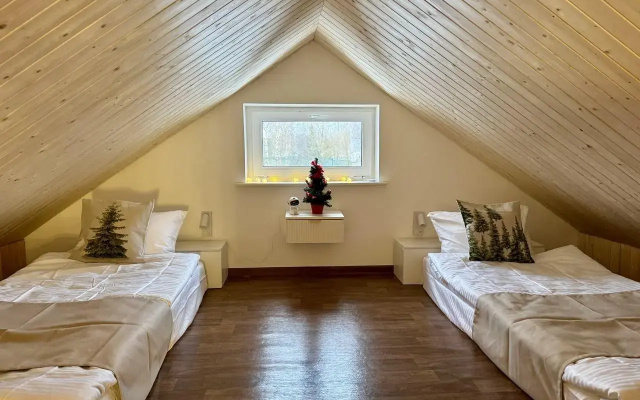 Дом Шелуха (Sheluha House) в дачном поселке Парфёнки 910